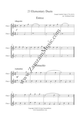 23 Beginners Duets for teaching & helping to sight read. Grades 1-3