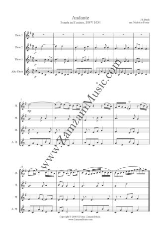 Bach, J.S. - Andante, Sonata No. 5 in E minor. 1st flute as solo part.