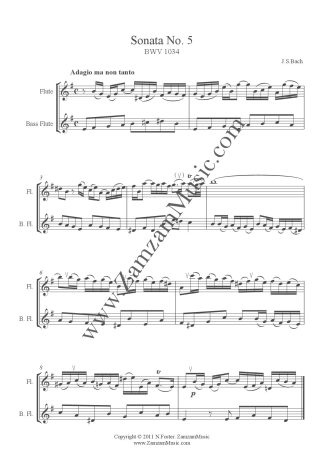 Bach : Sonata No. 5 in E minor, Adagio.