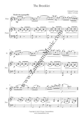 Forman, E : The Brooklet