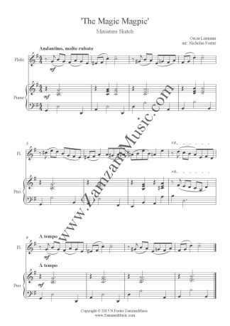 Liemann : The Magic Magpie