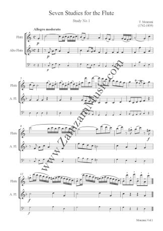 Monzani : Seven Studies. Vol. 1