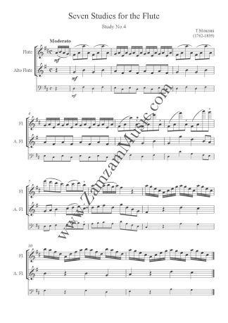 Monzani : Seven Studies. Vol. 2