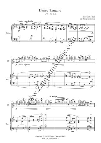 Nachez - Danse Tzigane (Gypsy Dance) for solo flute and piano. Advanced.