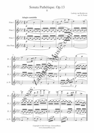Beethoven - Piano Sonata No. 8 (Adagio). Arranged for 3 flutes and Alto flute.