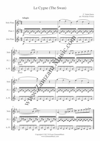 Saint-Saens. The Swan. Trio for 2 Flutes and Alto