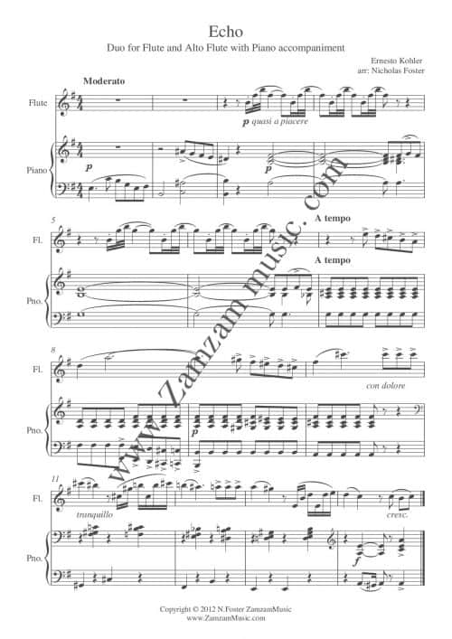 Kohler, Ernesto 'Echo' for Flute and Alto Flute with Piano. Zamzam