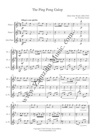 Weidt. A.J.- The Ping Pong Galop. 2 flutes and alto flute