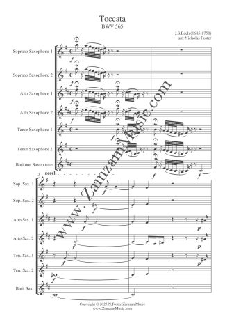 Bach, J.S. : Toccata in D minor.