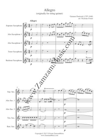 Donizetti : Allegro.