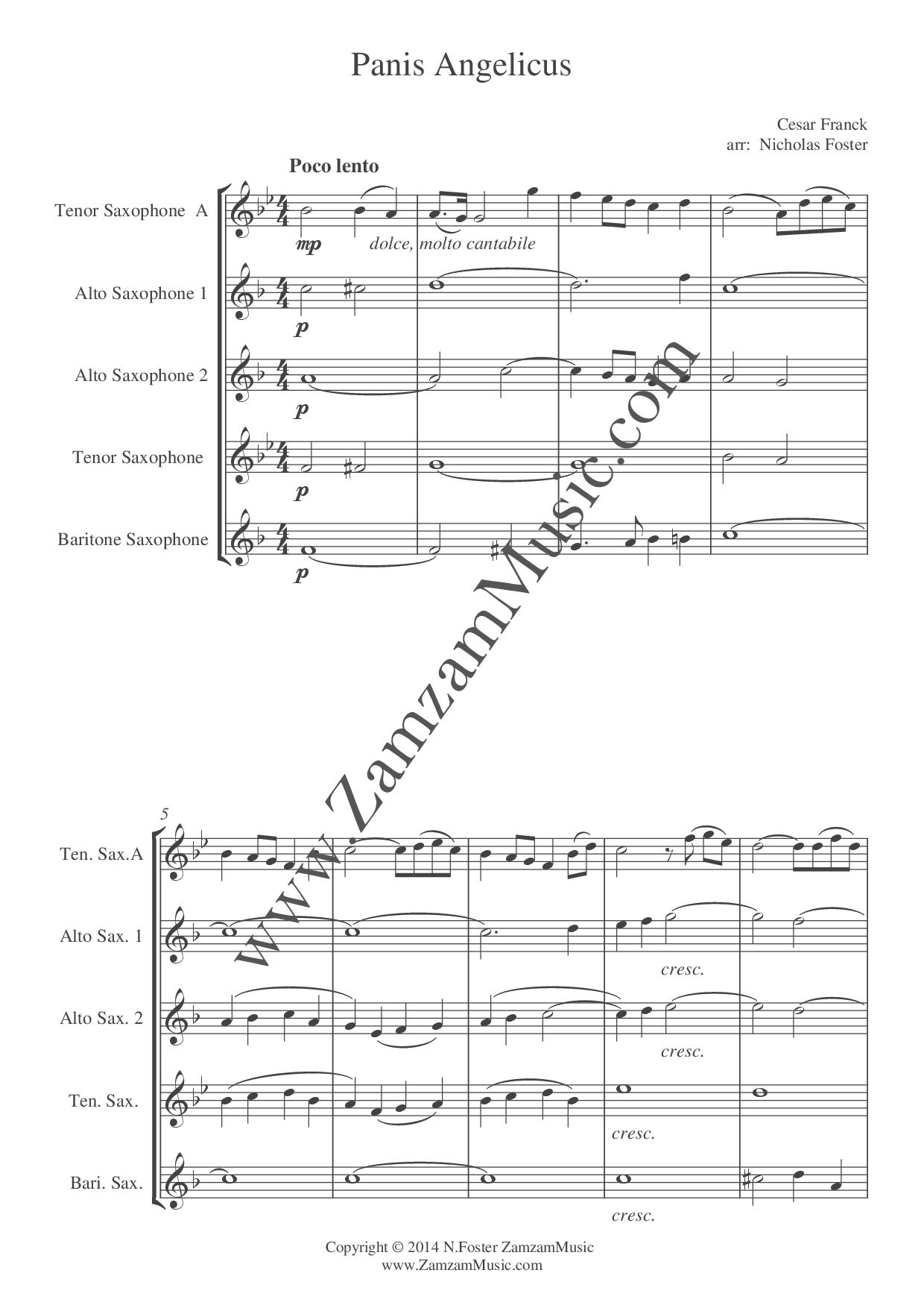 Franck, Cesar : Panis Angelica.