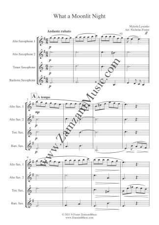 Lysenko, Mykola : ‘What a moonlit night.’