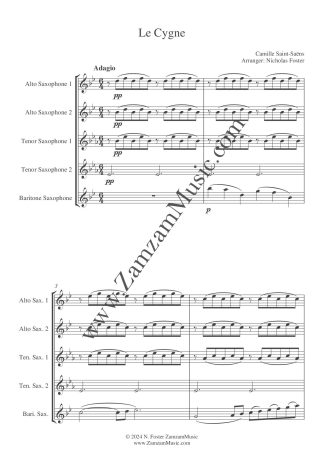 Saint-Saëns : The Swan from Carnival of the Animals.